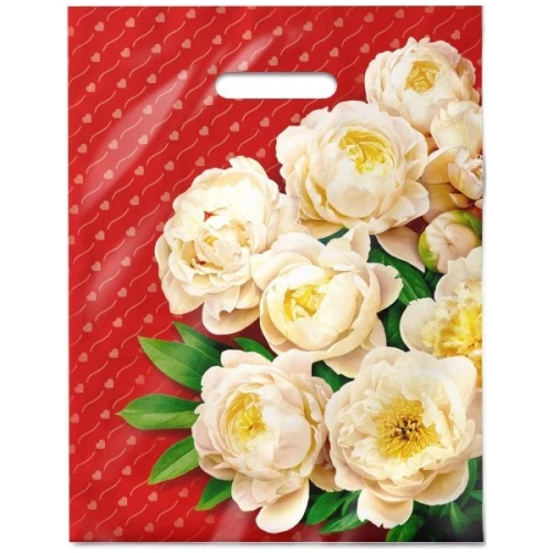 25yjh02dvzv2gjoua0jvk4zcywdu0wex