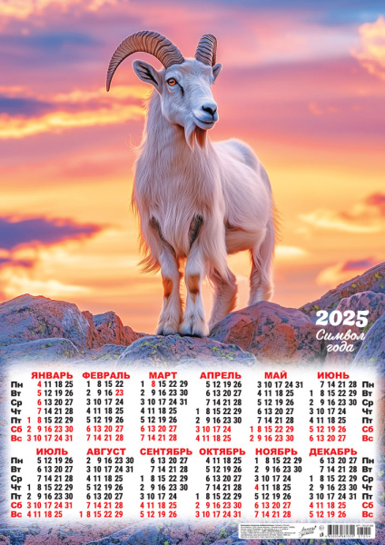 95119-1