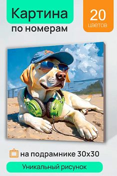 Холст с красками 30х30 см по номерам (в коробке) Пёс-меломан на солнце  ХК-7318