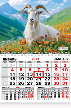 Календарь настенный одноблочный 2027 год, 290х220 мм, дизайн ассорти, ККМ-001;035;041